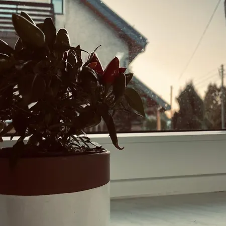 Pod Sniezka Nadzieja 아파트 코바리