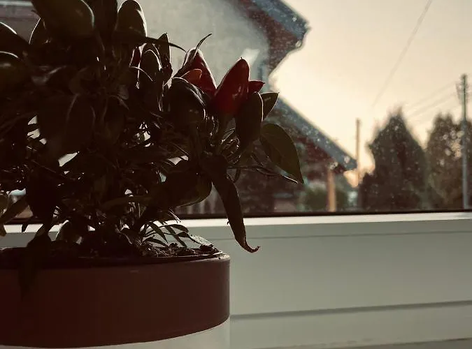 Pod Sniezka Nadzieja Apartment Kowary